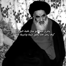 #السيدعلي_السيستاني 