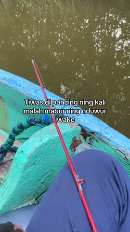 Wes mbuh #mancing #cacing #kating #sungai #iphone13 