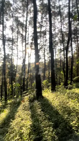 Sangat tenang🍃✨ #bogor 