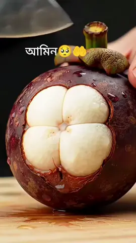 #নিশ্চই_আল্লাহ_উত্তম_পরিকল্পনাকারী 