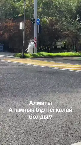 #алматы #аттан #рекомендации #амантайкажы #амантайқажы 