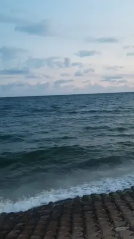 #learnontiktok #meme #funny #funnyvideos #foryouu #fyp