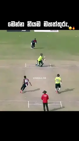 Real Cricket 🥰 #fyp #foryoupage #cricket #Love 