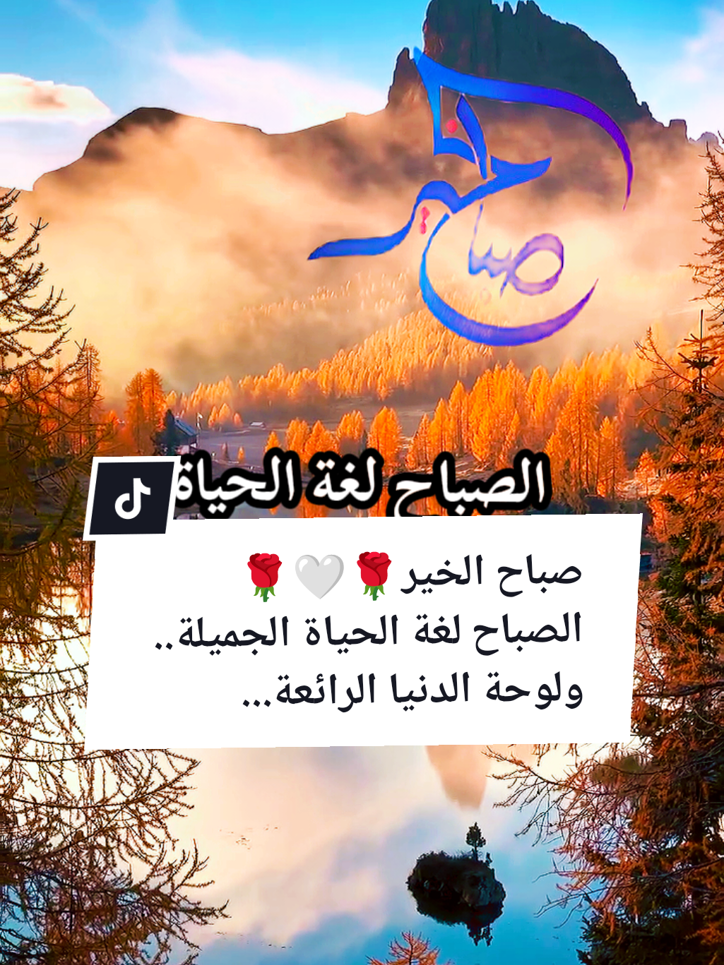 #souzan396 #صباح_الخير  صباح الخير🤍🌹☕ الصباح لغة الحياة الجميلة.. ولوحة الدنيا الرائعة....
