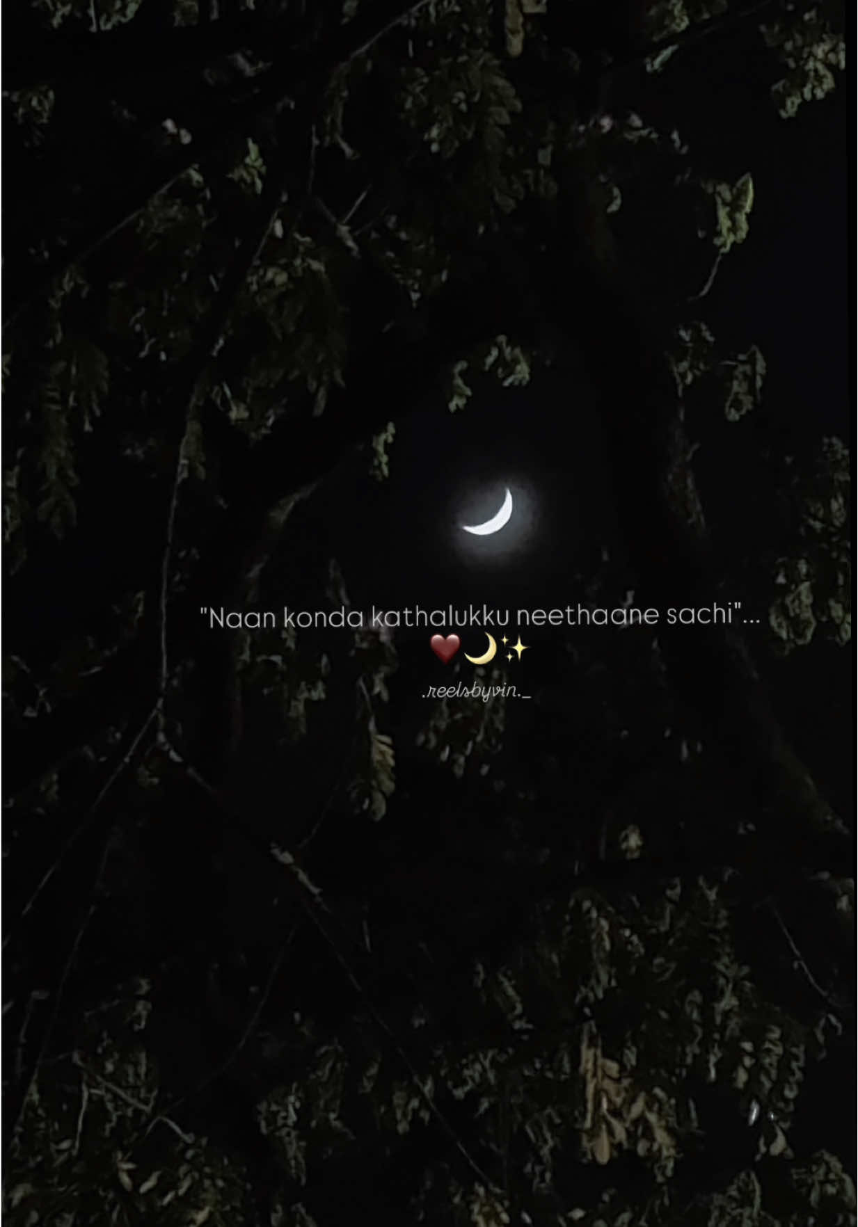 நான்கொண்ட காதலுக்கு நீதானே சாட்சி 🌙❤️✨ #reelsbyvin #guruvayurappa #ilaiyaraaja #spb #kschitra 