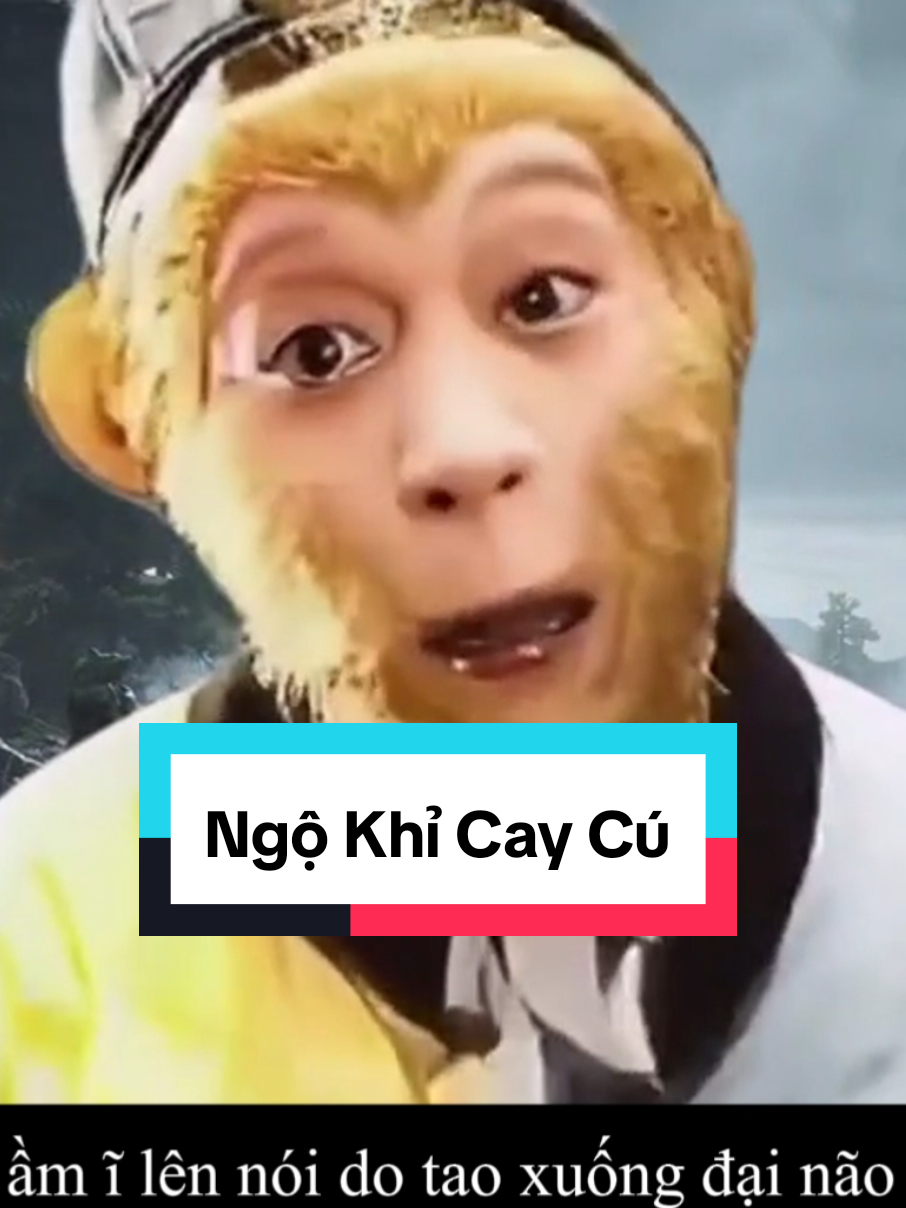 Ngộ Khỉ Cay Cú       #sonthonlaothi #liamsub #xuhuong #tayduky #tayduke 