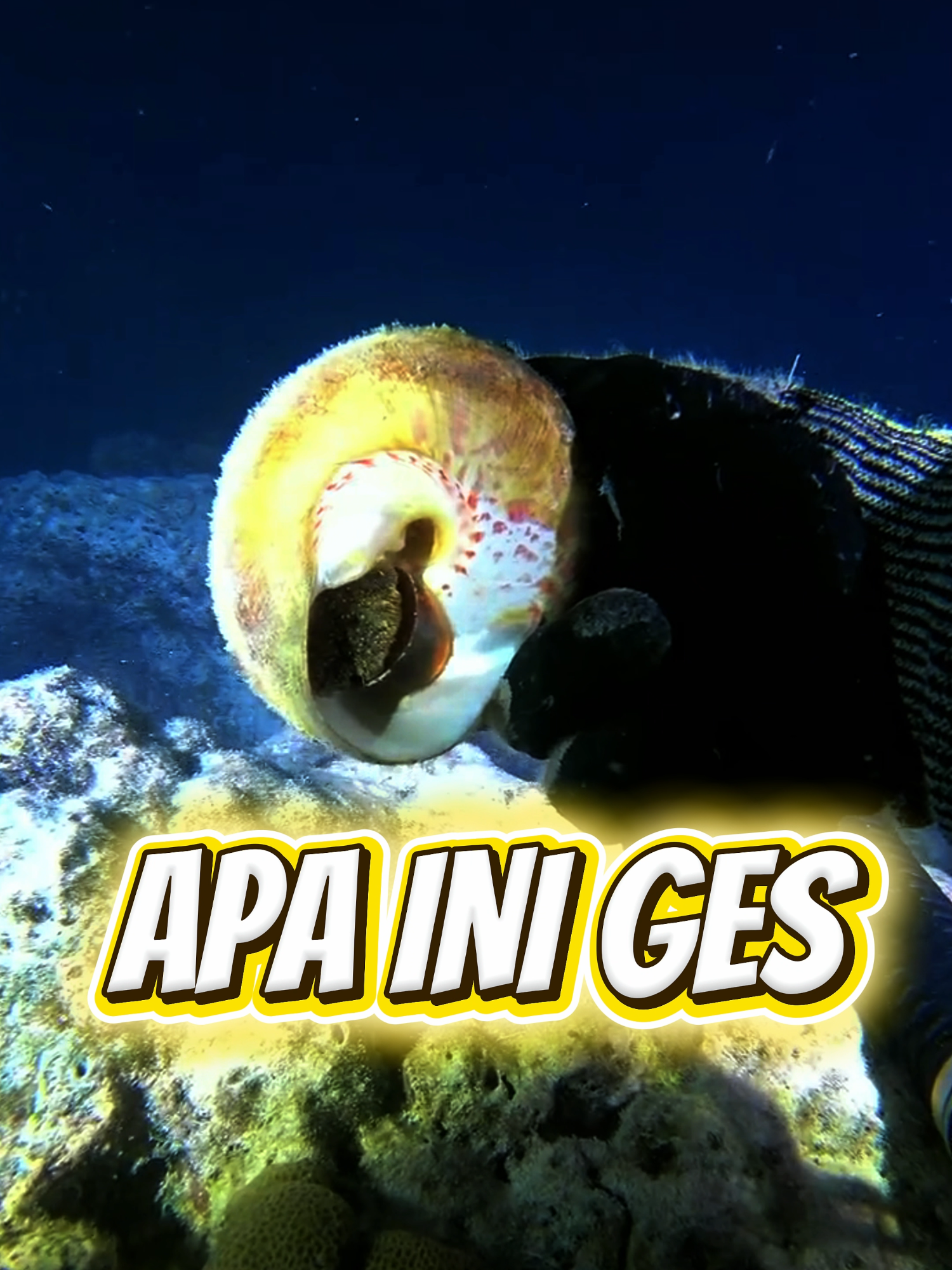 Ini tuh apa ges, coba bantu host nya  #underwaterworld #masakecil