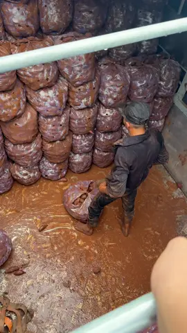 Vẫn ok—-Hết xxe