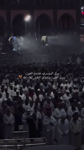 سورة هود | #ياسر_الدوسري 