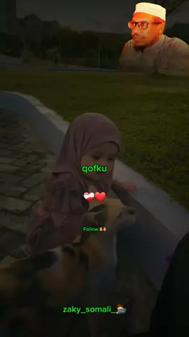 qofka sidu u fakarayoiyo........-🫶❤️‍🩹🔥-#dhiirigalin #sheekhmustafe_xaajiismaaciil #zaky_somali #zaky_somali_🧑‍💻 