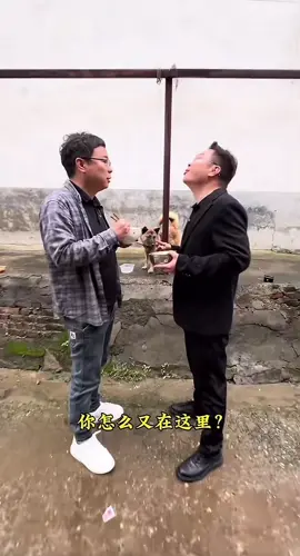 老婆炒的菜太难吃#搞笑 #喂狗
