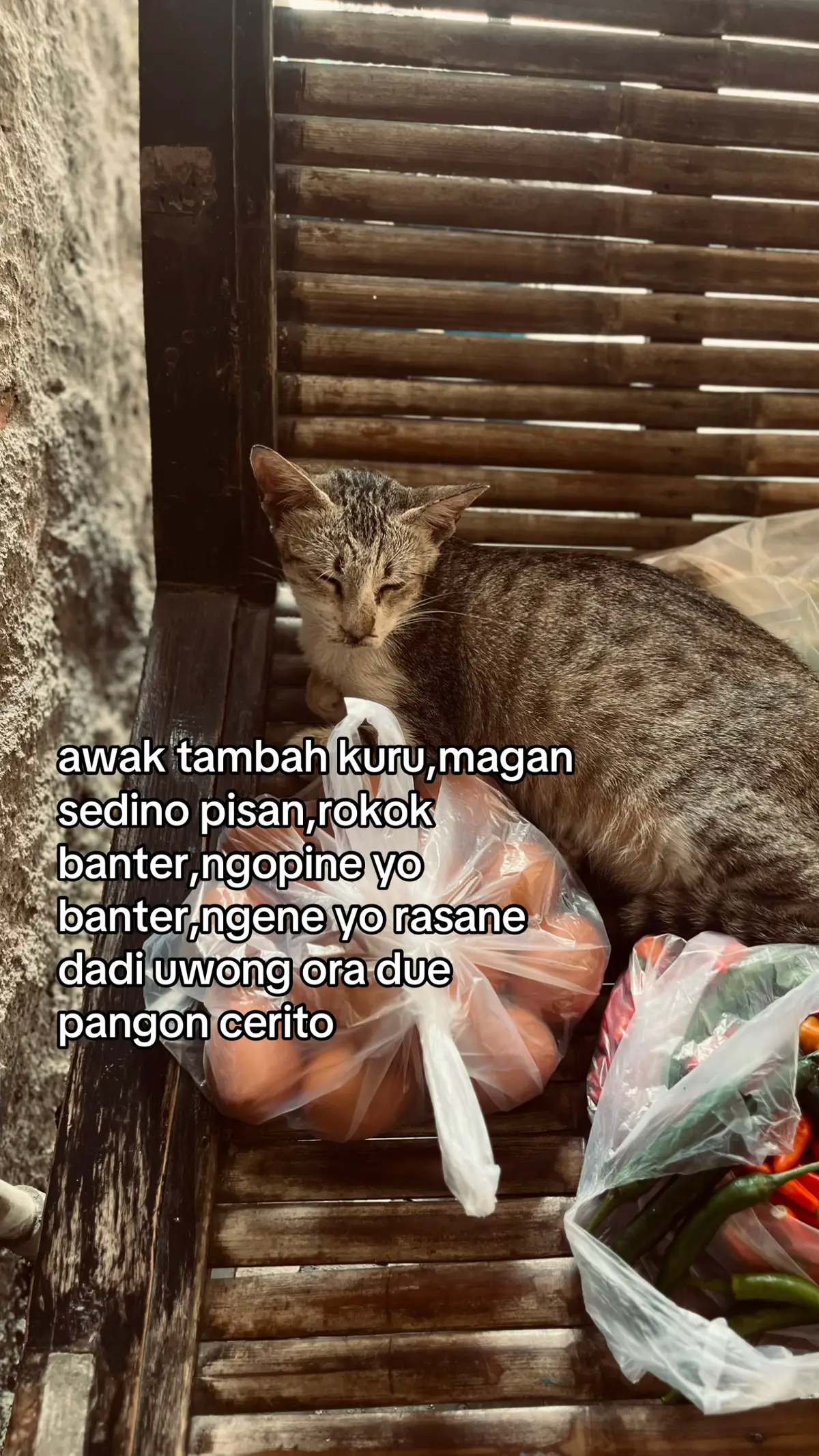 #foryoupage #masukberanda #fyp #fypage 