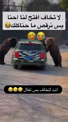 #الشعب_الصيني_ماله_حل😂😂 