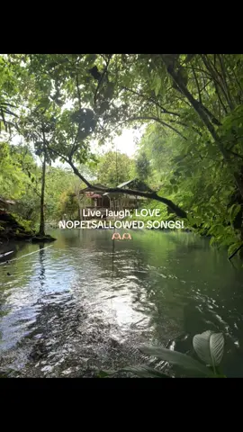 Live, laugh, love NOPETSALLOWED SONGS! 🫶🏻🫶🏻 #trending #nopetsallowed🔥 #livelaughlove 