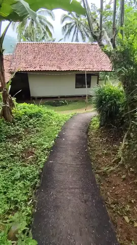 Menelusuri kampung yang sejuk dan tenang #suasanakampung #fyppppppppppppppppppppppp #fypシ 