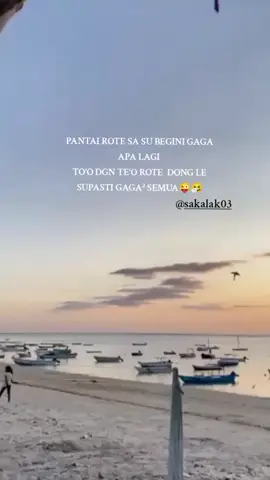 #roteisland🌴  #nttpride🏝🔥  #fyp?tiktok♥️ 