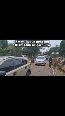 Info pohon tumbang di desa simpang sungai duren #fypage #fypシ゚ 
