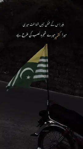 میرا کشمیر میرے شجرہ نصب کی طرح ہے🍁 #standwithkashmir #growmyaccount #unfrezzmyaccount #foryoupage #kashmir 