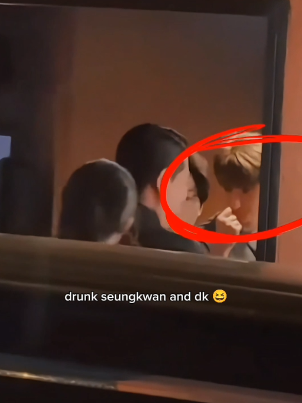 these two 😭😭 #seungkwan #dk #seventeen #fyp #foryou ctto
