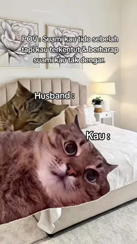 Tag bini masing2 🤭 siapa pernah gini baik ngaku woi 😂 #memecat #fyp #fypcat #memestiktok #memekucinglucu 