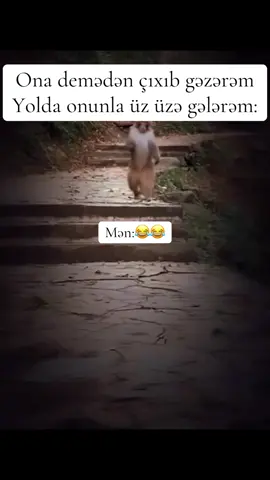 😂😂😂 #kesfett #tiktok #global #Love #azerbaijan 
