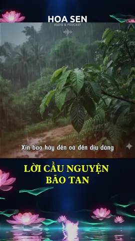 LỜI CẦU NGUYỆN BÃO TAN Nếu bão có đến hãy đến dịu dàng Đem những cơn mưa xanh tốt mùa màng Cho người thương người sống đời tử tế#xin baotandi#bualoi#vietnam#loicaunguyen#xuhuong Để cõi đất này hạnh phúc bình an. Xin đất nước này tươi sáng huy hoàng Có Phật từ bi trên mọi nẻo đàng Người người quy y tin sâu Nhân quả Nguyện điều phúc thiện giăng khắp trần gian. 🙏🙏🙏