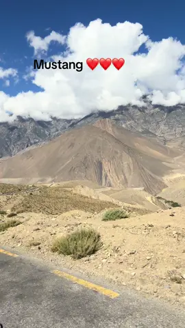 #jomsom_mustang😍 #mustang ❤️❤️#gurungseni_nani👸👸 