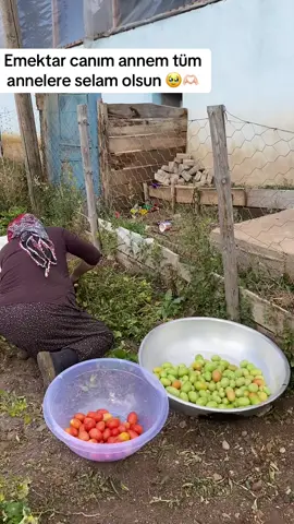 Canım annem annelerimizin hakkı ödenmez 🥹 #yfp #viralvideo #viraltiktok #yum #annemm 