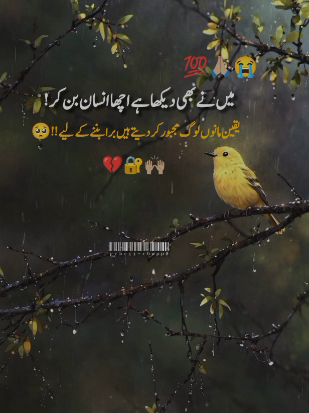 #viewproblem💔🥺🙏🙏 #saidpoetry💔😭💔 #deeplines #urdupoetry #gehrii_chupp8 