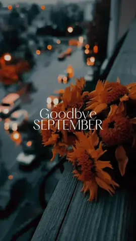 #SetembroDump #autumnvibes🍁 #RainyDay🌒 #storyforyou🍂 #fypシ゚viral🖤autumnmood🍁 
