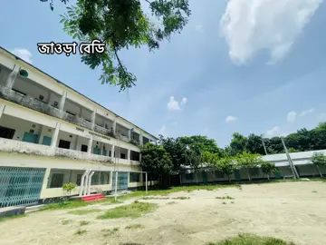 জাওড়া বেডি 😁