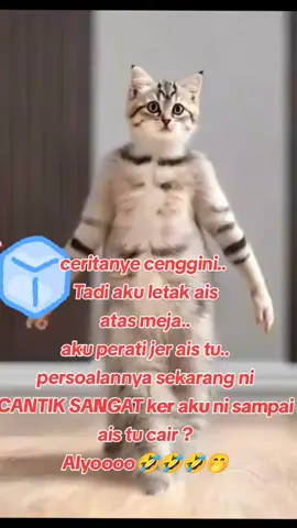 slmt ptg semua Shbt kesayangan IshA 🥰 JOm ☕  sanTai jab... #sekadarhiburan  #fypシ゚viral🖤  #fypシ゚viral🖤tiktok☆♡🦋myvideo  #creatorsearchinsights 
