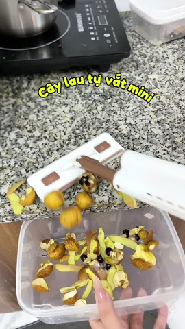 Cây lau tự vắt mini cầm tay tiện lợi nhỏ gọn #caylaumini #caygatnuoc #caylautuvatmini #dodungnhabep 