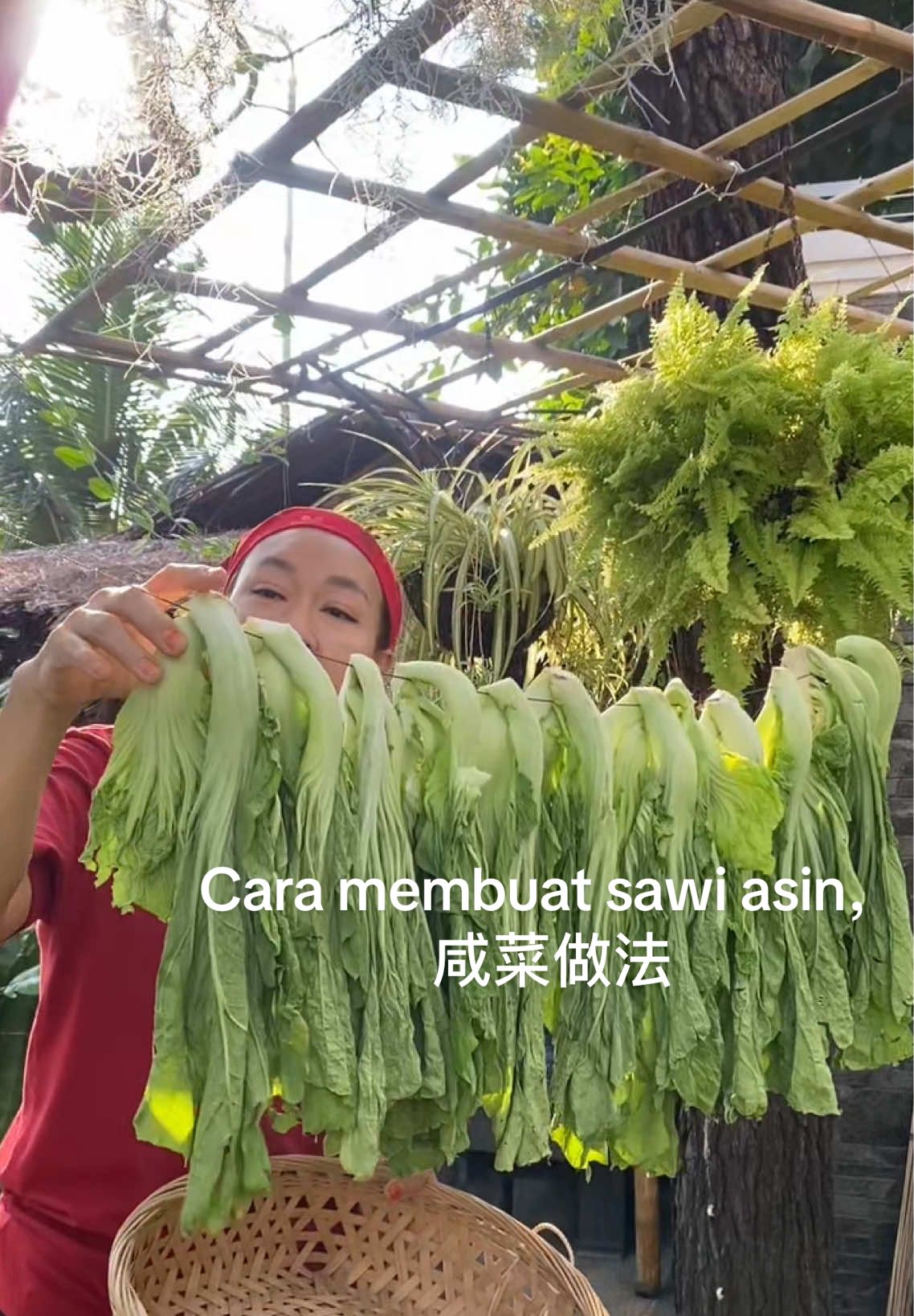 Cara membuat sawi asin。咸菜做法 - 2,5 kg sawi pahit - 150 gr garam kasar - 30 gr gula pasir - 1 ons lengkuas - 1,5 liter air beras  - 2 sdk makan tepung beras  Menu kreasi sawi asin  - Asinan bogor  - Sup ikan sawi asin  - Tumis sawi asin sesuai selera  - Pelengkap makanan lain (Bubur putih,oseng telur , Dll) #masakanrumahan #咸菜#viral#fyp#reseptiktok 