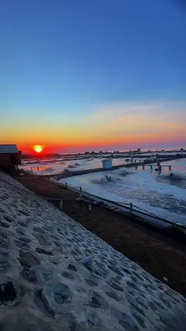 p adu view di tempat kerja🦐#petambakmuda #vanameindonesia🦐🦐🦐 