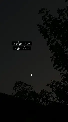 How big are our dreams, and how short is this life … #viral #foru #deeplines #foryoupage #100millionviews 