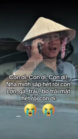 Con ơi con về được không, nhà mình gió bão giật sập hết rồi….😭😭😭#xh #bao #lulut #baoso10 