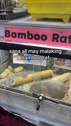 grabe yon #fyp #PetExpo