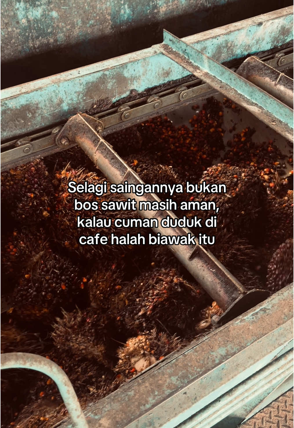 #fypシ゚ #kulipabrik #storypabrik #xyzbca #anakrantau #pabrikkelapasawit #pejuangrupiah #pabriksawit 