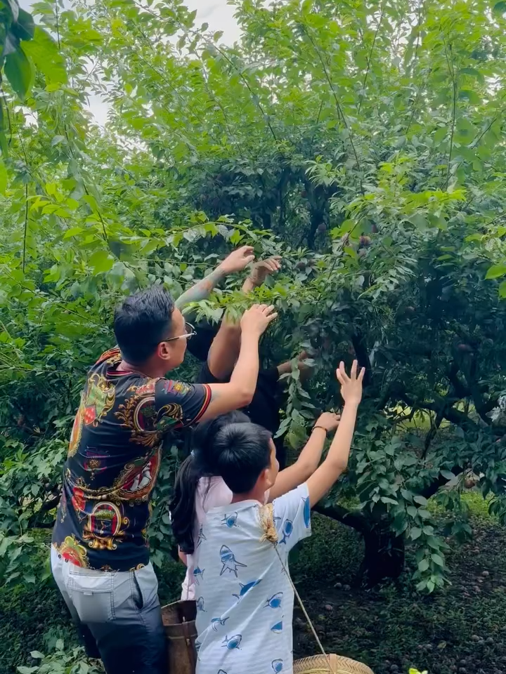 Vào rừng chơi với khỉ cùng các con 🤣🤣