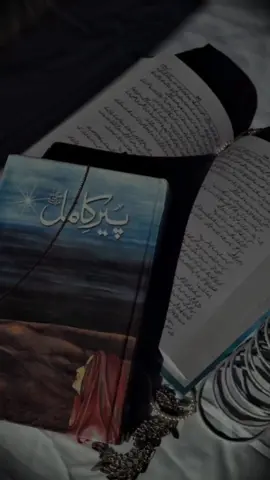 Salar ki Dua 🥺❤️ The whole novel is a masterpiece but this part hits different 🥺❤️ #explore #foryoupage #urdunovels #BookTok #salarsikander 