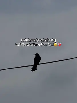 আপাতত এখানেই সমাপ্ত.!😅❤️‍🩹#unfrezzmyaccount #viral #foryou #🥹🥹 
