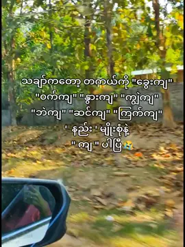 သချာ်ကျပီး@𝐂𝐨𝐜𝐨𝐧𝐮𝐭🥥 @𝐌 @黑你 @🌹jêrry♍ ကျပီး#ဘုရားလမကယ်နိုင်တော့ပူး#မူးရင်ကိုcrdပေးပ့တယ် 