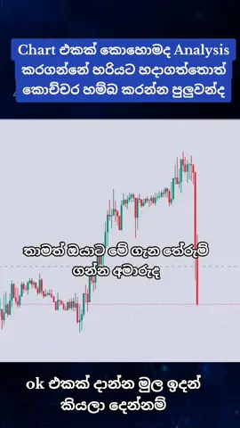 හරියට ඉගෙන ගන්න කැමතිනම් අදම මට  මැසේජ් එකක් දාන්න මුල ඉදන් කියලා දෙන්නම් #viral #srilanka #srilankan_tik_tok🇱🇰 #following #creatorsearchinsights 