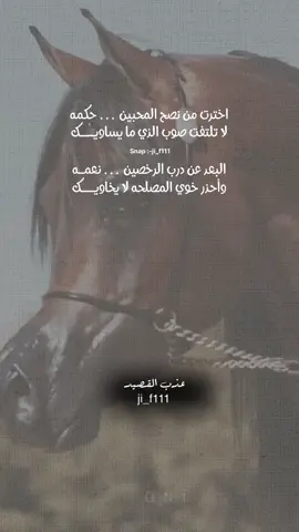 #عذب_القصيد #tiktokarab #محمود_الجبلي #مشاهدات #الشعب_الصيني_ماله_حل😂😂 