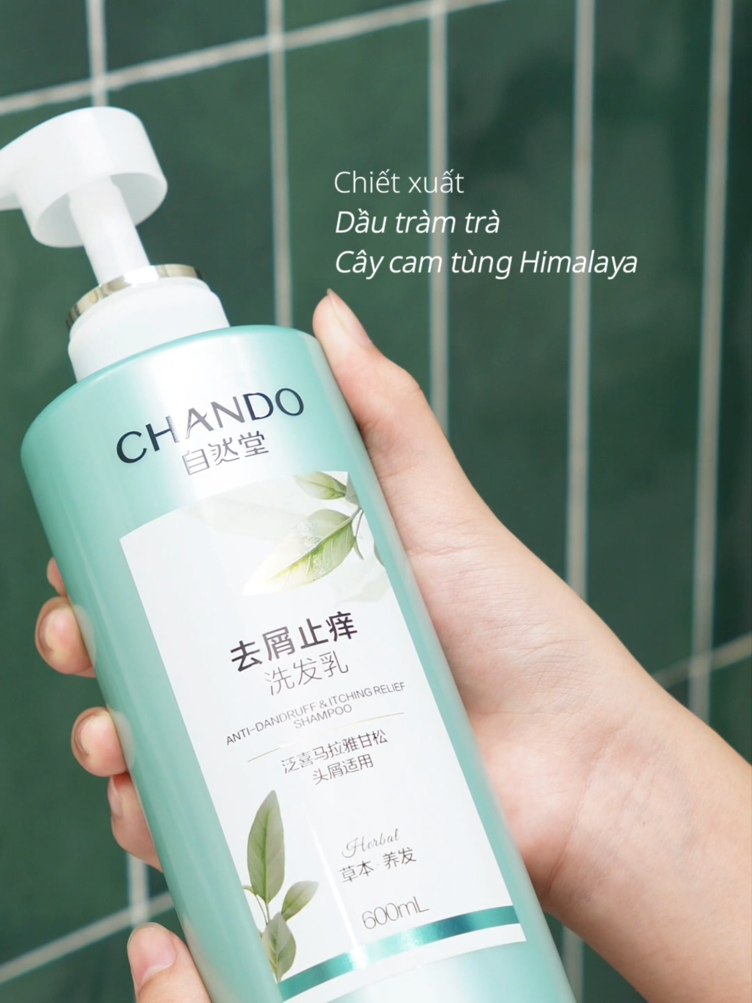 Gàu ngứa khiến chị em tự ti khi ra ngoài? Lụm ngay bí kíp ngay tại đây 🔥#CHANDOHimalayaVietnam #tocdep #tocdepmoingay #lamdep #Beauty