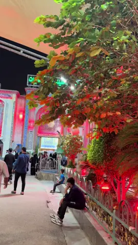 كامله ليله بجي ونايحه اوكف إلك مادحه اقرالك الفاتحه يا ابن السراط المستقيم كامله#باسم #باسميه_عشاق_باسم_الكربلائي_باسميات #ياحسين💔 #جديد #كربلائي❤️❤️ 