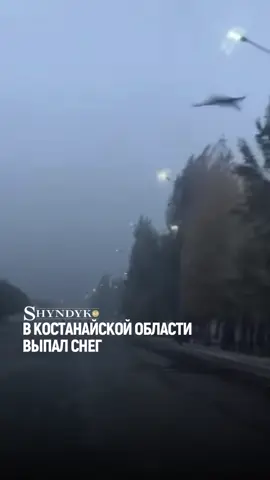 ❄️ В Костанайской области выпал снег В Костанае и Рудном сегодня выпал первый снег. Местные жители делятся фотографиями в соцсетях.  Синоптики предупреждали о резком похолодании: ночью температура могла опуститься до -6, а днем — не поднималась выше +8. Также ожидались осадки — дождь с переходом в снег. Полиция обратилась к автомобилистам с просьбой быть осторожными за рулем, соблюдать дистанцию и скоростной режим.