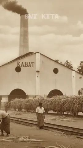 Sejarah Pabrik Gula di Banyuwangi #banyuwangi #sejarahbanyuwangi #ceritarakyat #pabrikgulabanyuwangi 