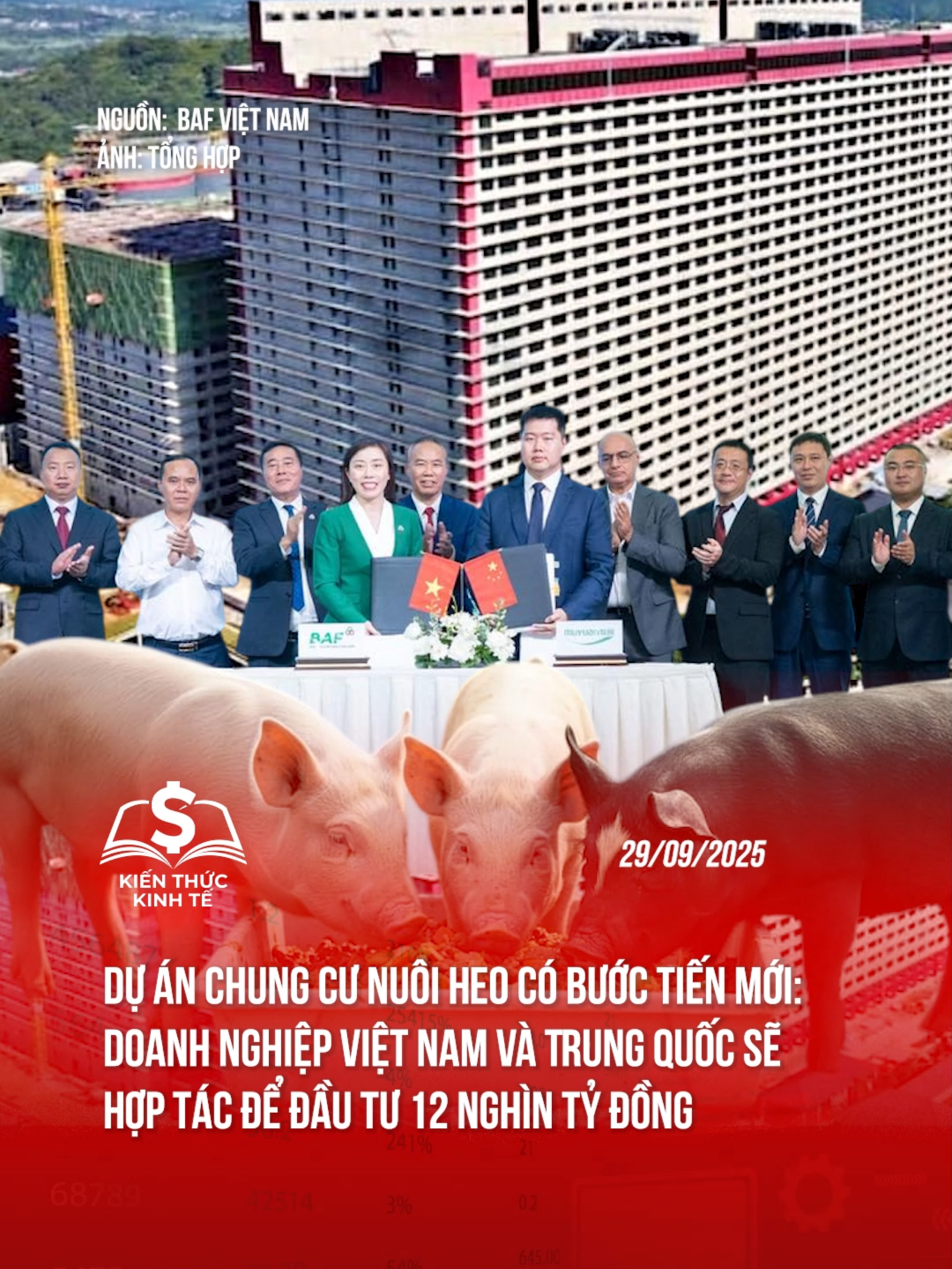 Doanh nghiệp Việt Nam - Trung Quốc cùng hợp tác ở dự án chung cư nuôi heo #kienthuckinhte28 #tiktoknews #taichinhkinhte #nuoiheo #bafvietnam